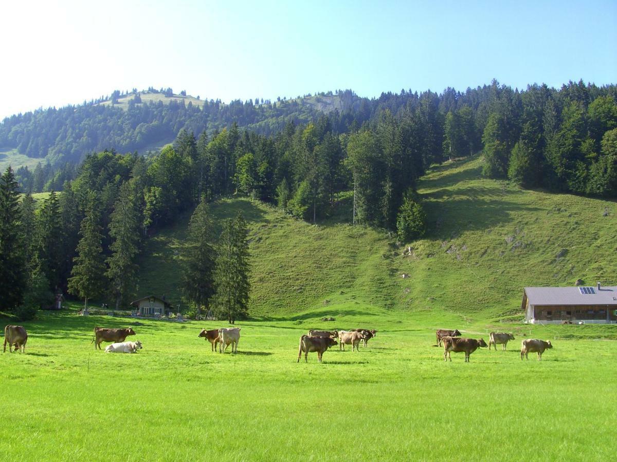 Gaestehaus Lutz Mellau Exteriér fotografie